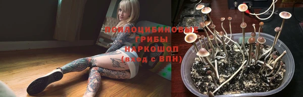 молекула духа Кулебаки