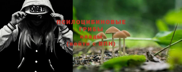 молекула духа Кулебаки