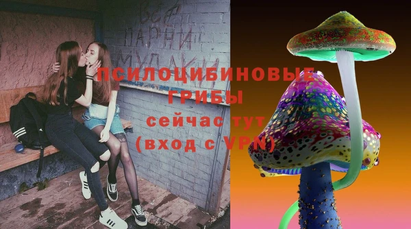 молекула духа Кулебаки