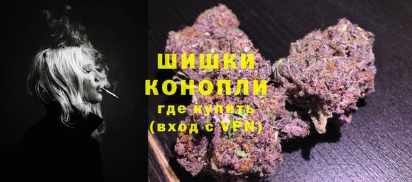 молекула духа Кулебаки