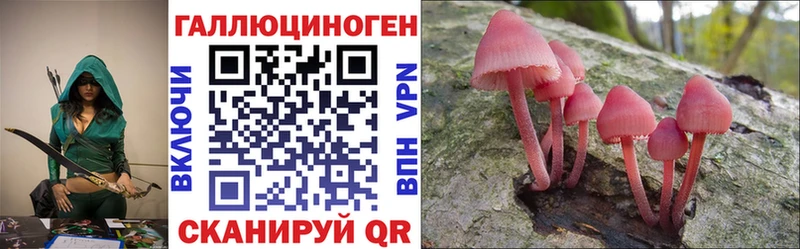 где найти наркотики hydra tor Псилоцибиновые грибы ЛСД Хадыженск